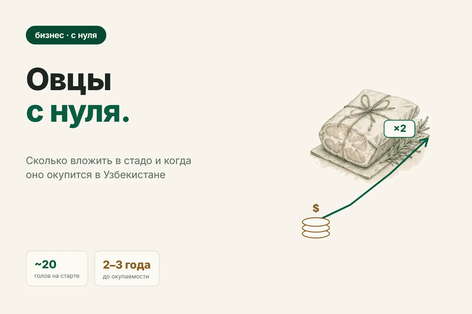 Разведение овец как бизнес: сколько нужно вложить и когда окупится