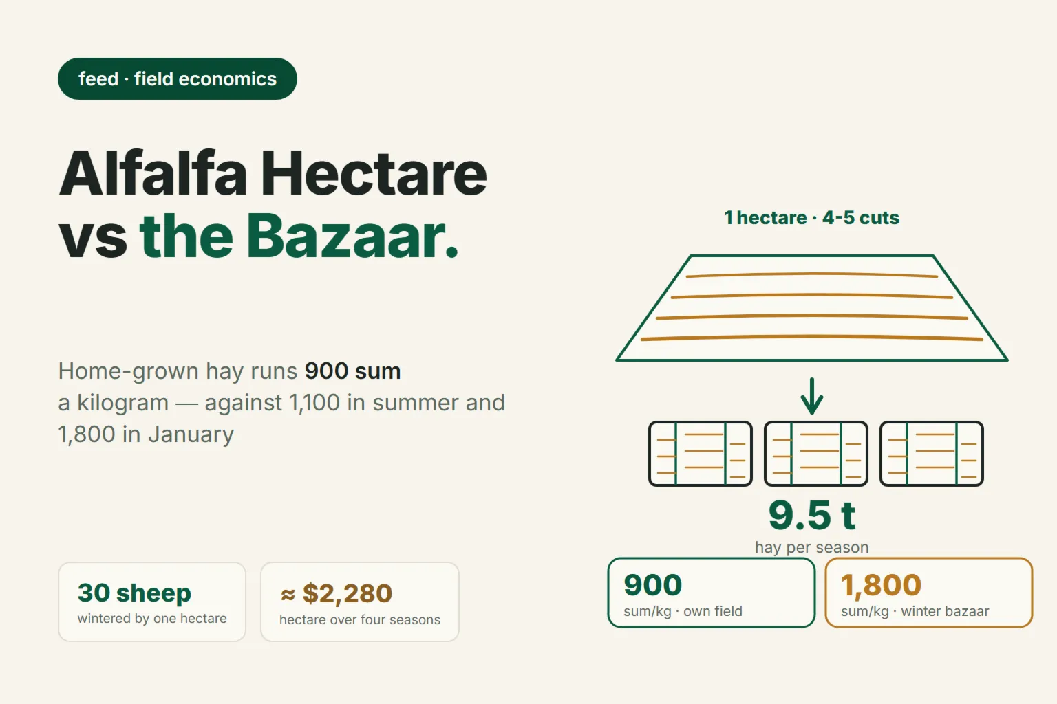 Own Alfalfa vs. Bought Hay: How Many Tons a Hectare Gives and When Planting Pays Off