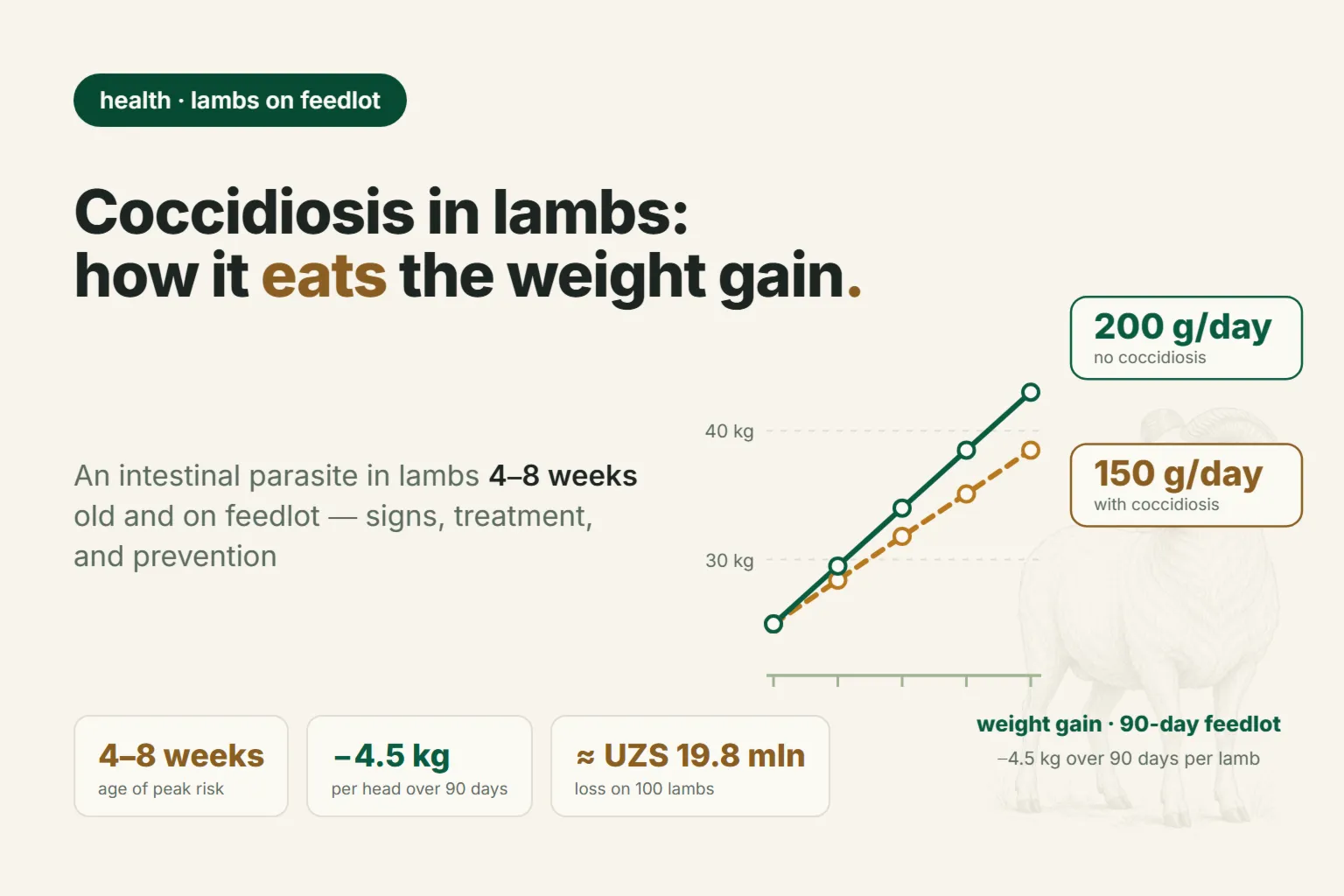 Coccidiosis in Lambs: Why Weaned Lambs Scour and Don't Gain Weight on Feed