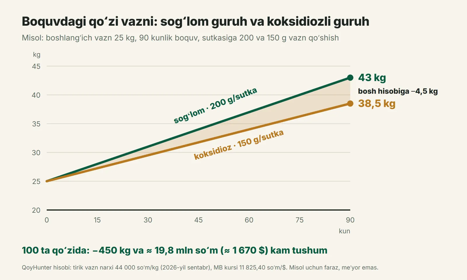 100 boshli qoʻzi partiyasining 90 kundagi vazn qoʻshimchasi: sogʻlom va koksidiozli