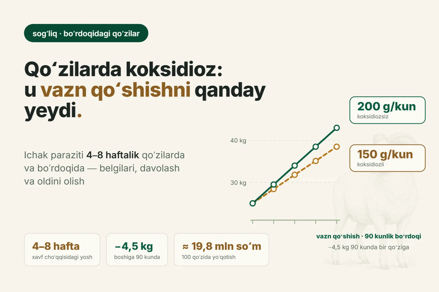 Qoʻzilarda koksidioz: nega sutdan ajratilgan qoʻzilar ich ketadi va boquvda vazn qoʻshmaydi