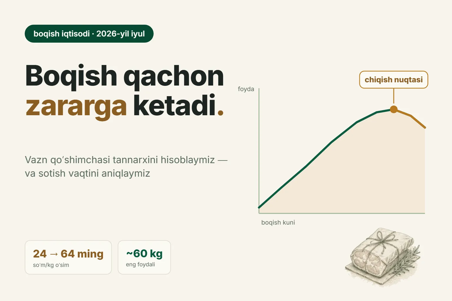 Bir kilogramm vazn qoʻshimchasi qancha turadi: qoʻchqorni boʻrdoqiga boqish tannarxi va qachon sotish kerak