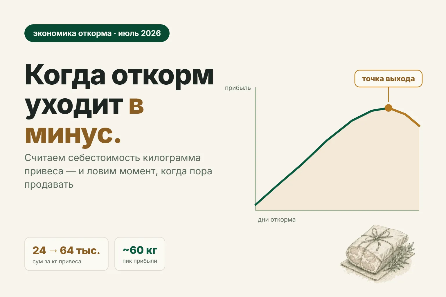 Сколько стоит килограмм привеса: себестоимость откорма барана и когда пора продавать