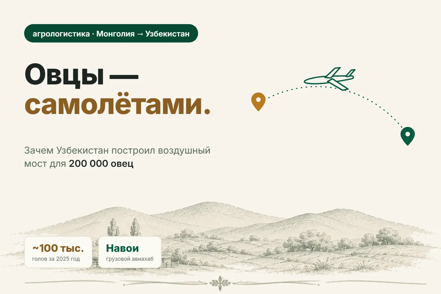 Зачем Узбекистан везёт 200 тысяч овец из Монголии — самолётами