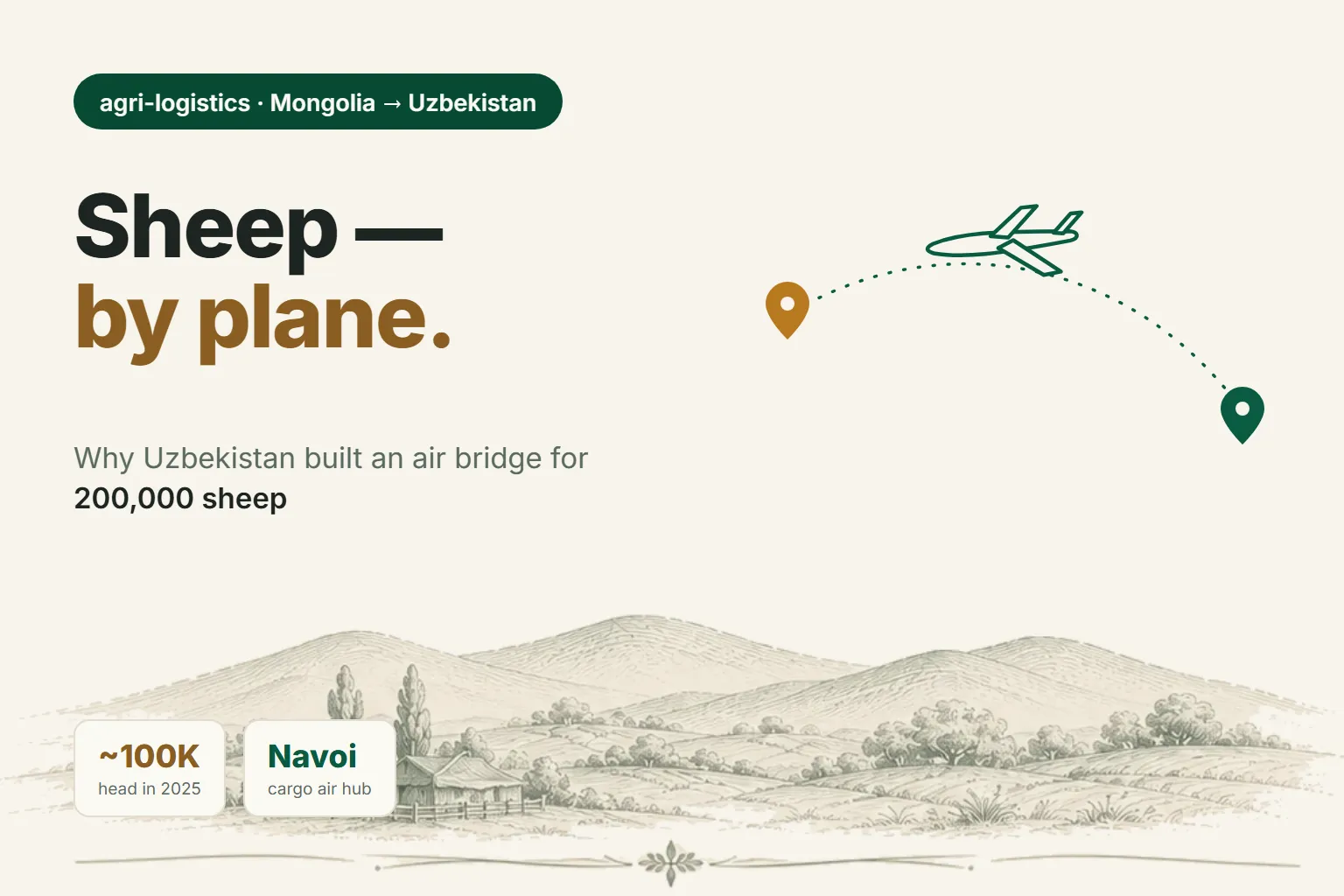 Why Uzbekistan Is Flying In 200,000 Sheep From Mongolia