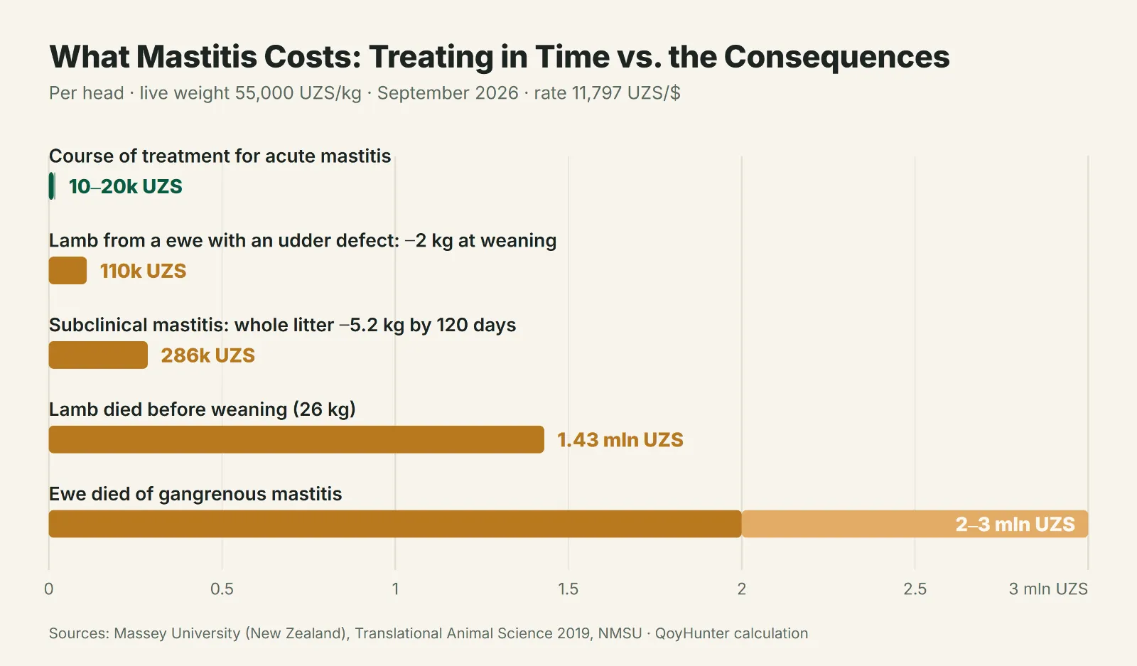 What one case of mastitis in a ewe costs: a 10,000–20,000 UZS course of treatment against 110,000 UZS for a lighter lamb, 1.43 mln UZS for a dead lamb, and 2–3 mln UZS for a dead ewe