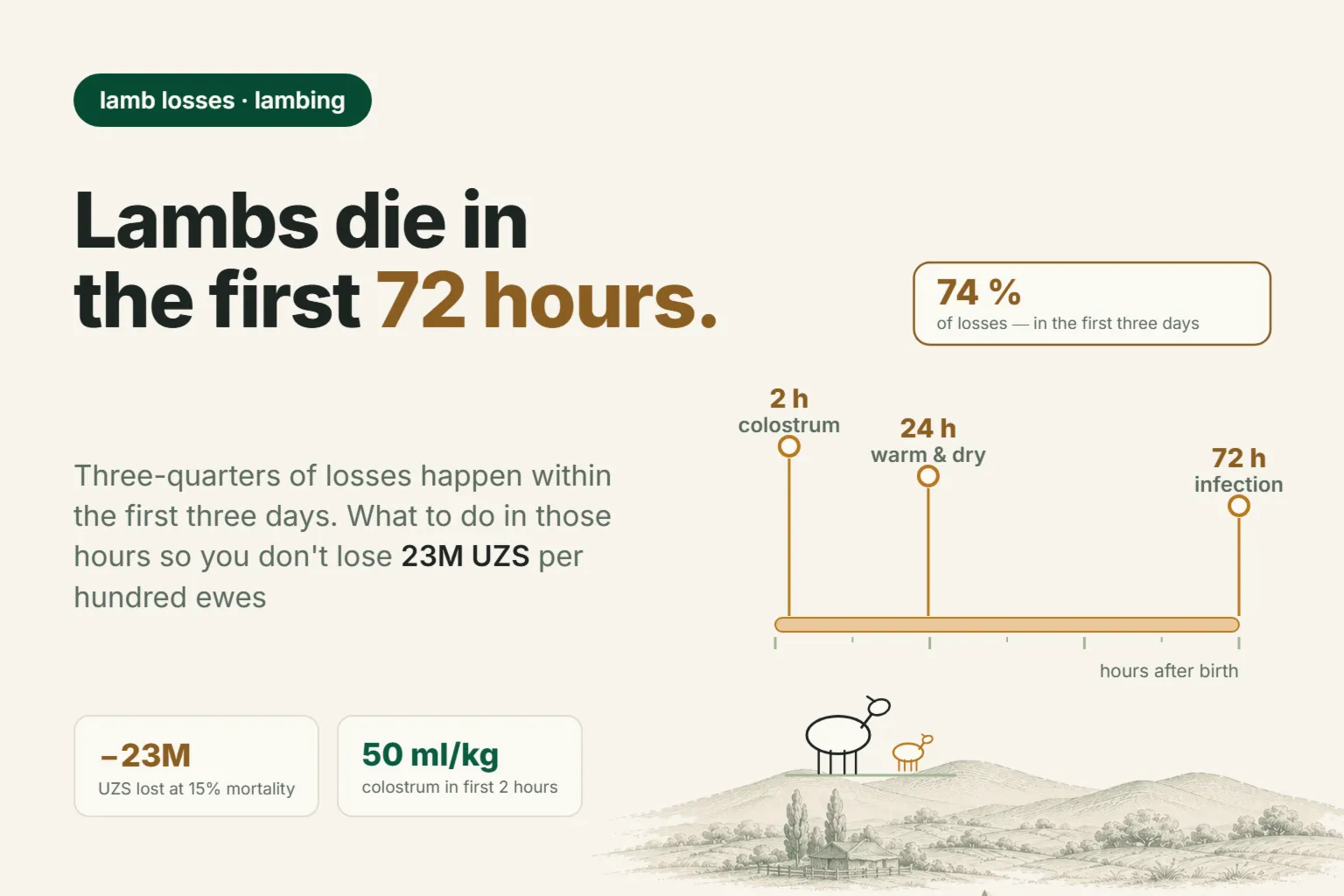 Why Do Newborn Lambs Die? The First 72 Hours After Lambing, Colostrum and Hypothermia