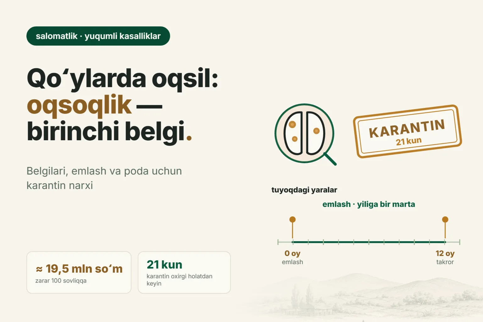 Qoʻylarda oqsil: belgilari, emlash va nega bir necha qoʻyning oqsoqlanishi butun podani sotishni yopib qoʻyishi mumkin