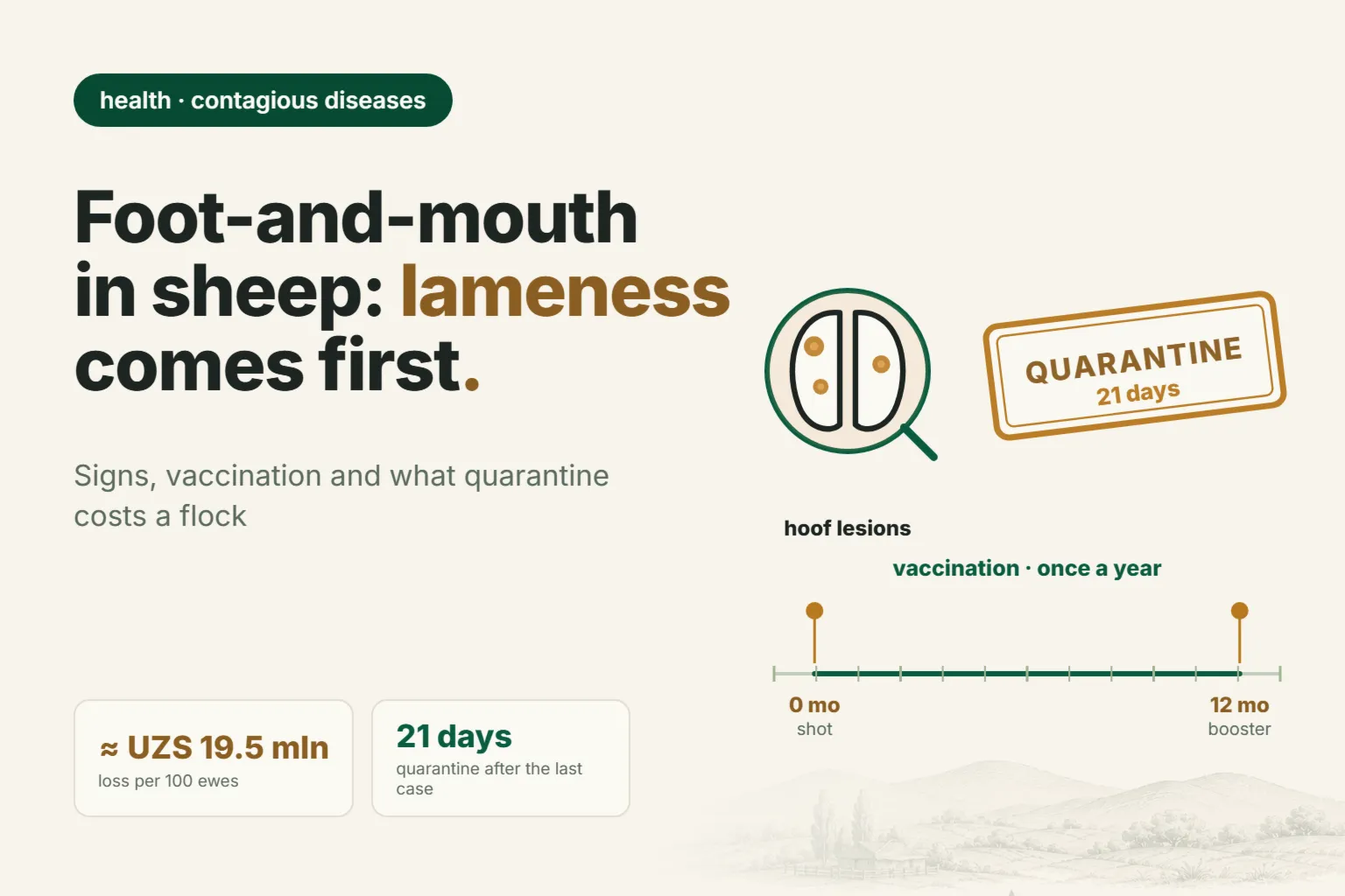 Foot-and-mouth disease in sheep: signs, vaccination, and why a few lame sheep can shut down sales of your whole flock