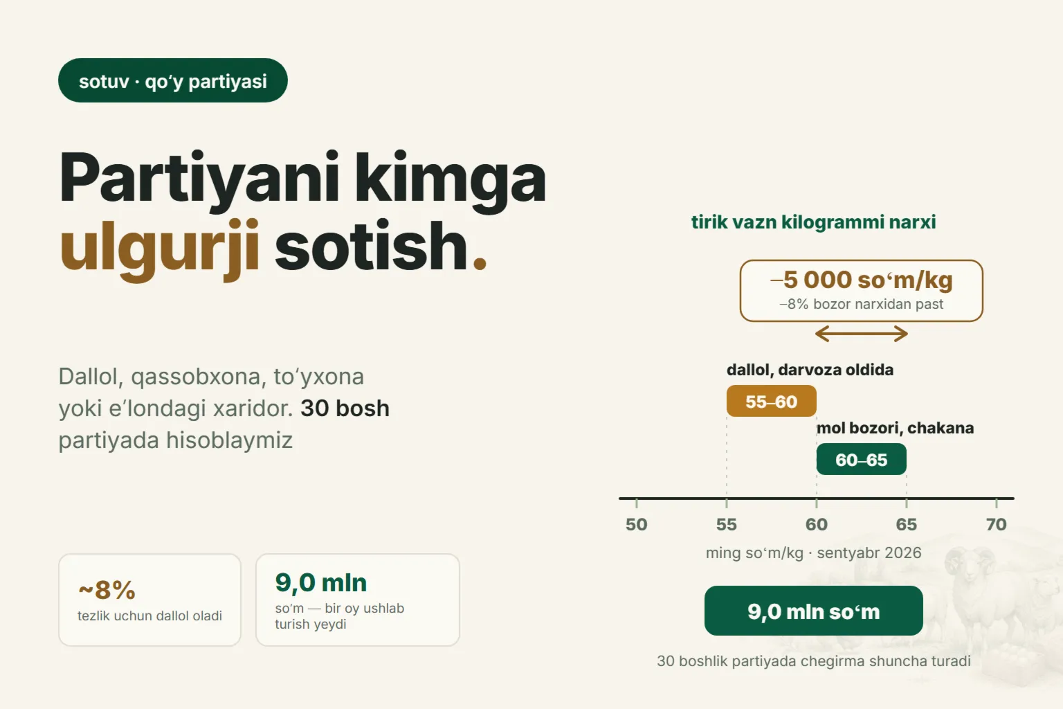 Qoʻylarni ulgurji sotish: Oʻzbekistonda 2026-yilda partiyani kimga topshirish — dallol, qassobxona, toʻyxona yoki xaridorga toʻgʻridan-toʻgʻri
