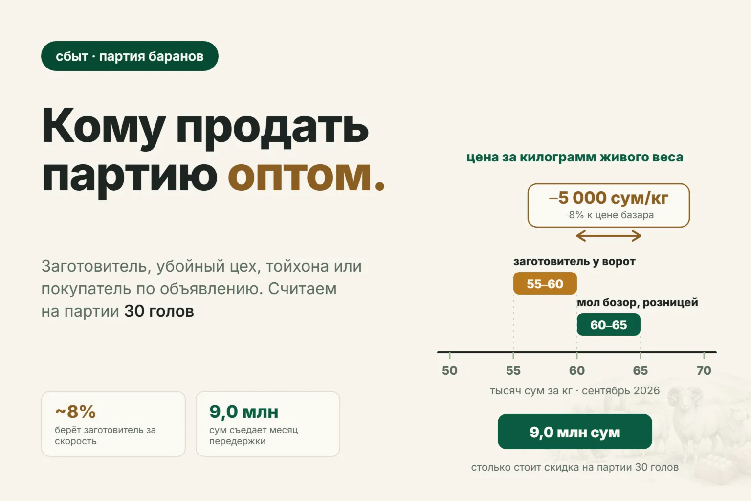 Кому продать баранов оптом в Узбекистане в 2026 году: заготовитель, убойный цех, тойхона или покупатель напрямую
