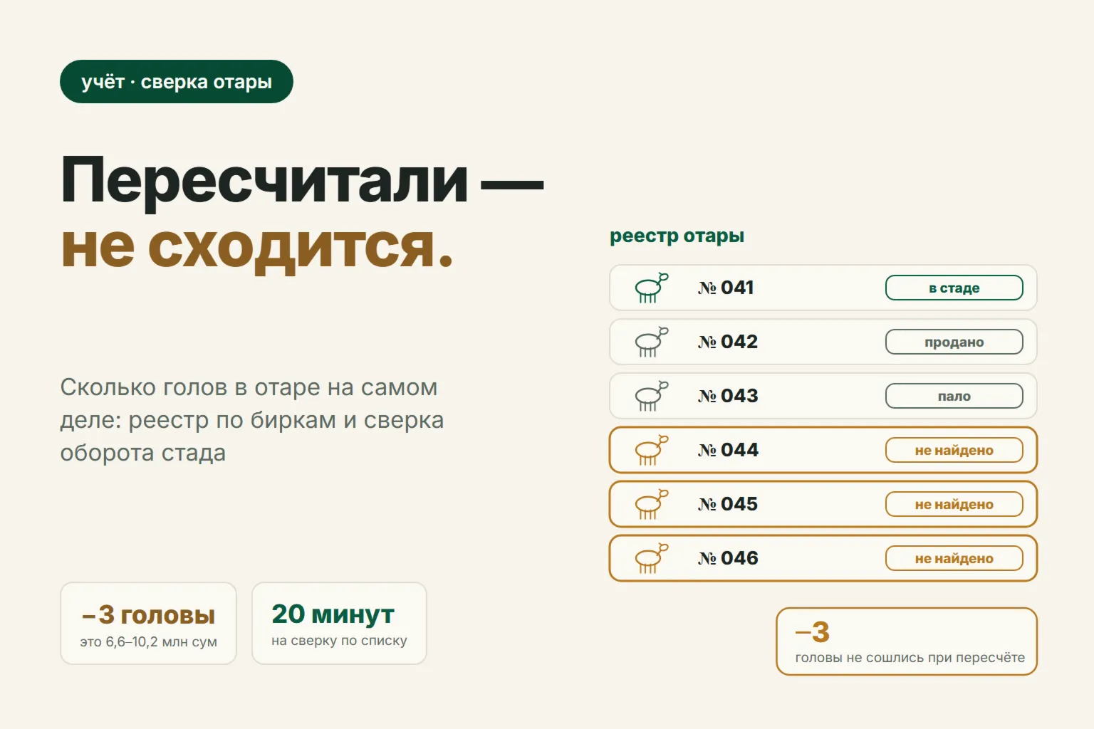 Сколько голов в отаре на самом деле: реестр по биркам и сверка поголовья