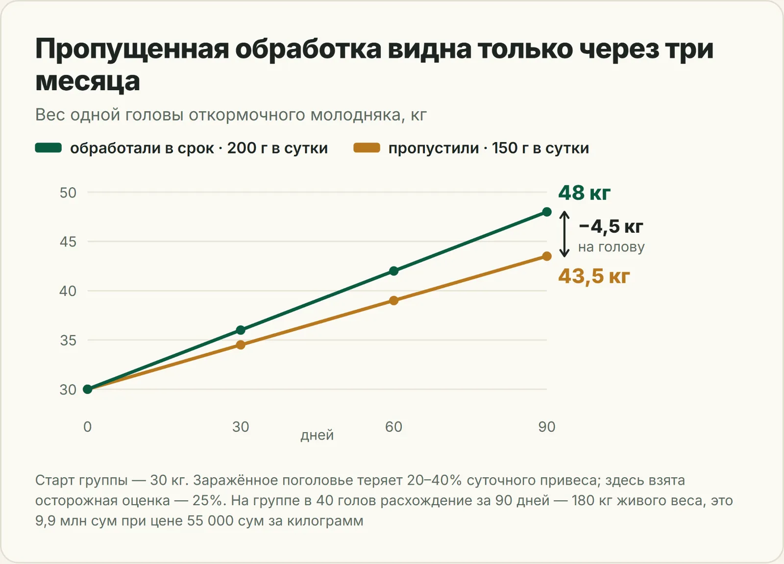График: вес откормочного молодняка за 90 дней при обработке в срок и при пропуске