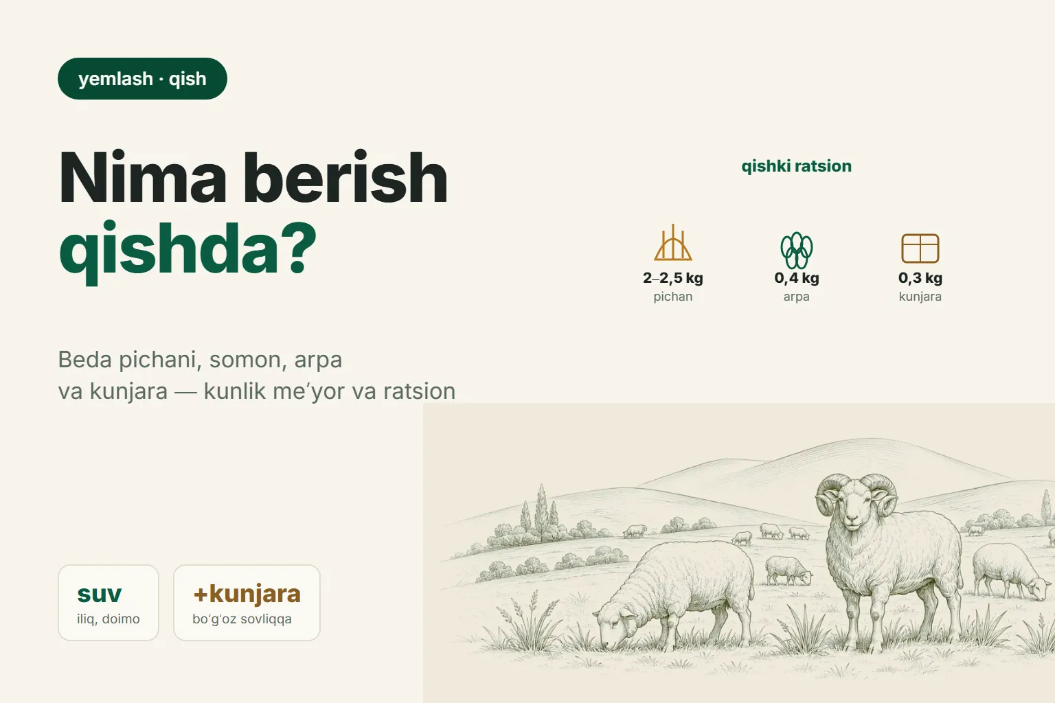 Qoʻylarni qishda boqish: beda, pichan, chigit kunjarasi — meʼyor va ratsion
