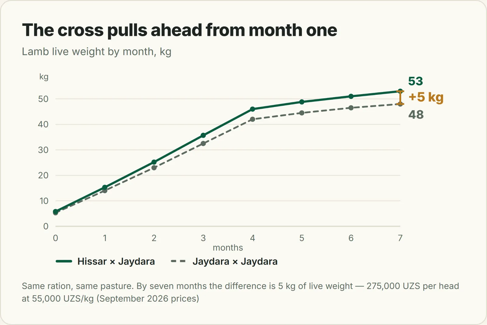 Chart of lamb live weight by month: Hissar × Jaydara cross versus purebred Jaydara