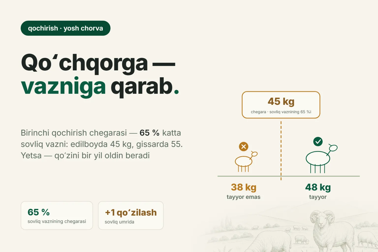 Yosh sovliqni necha oyligida qochirish kerak: oy emas, vazn hal qiladi