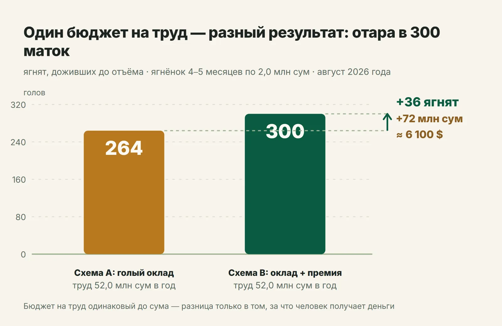 Один бюджет на труд — разный результат: 264 и 300 ягнят к отъёму
