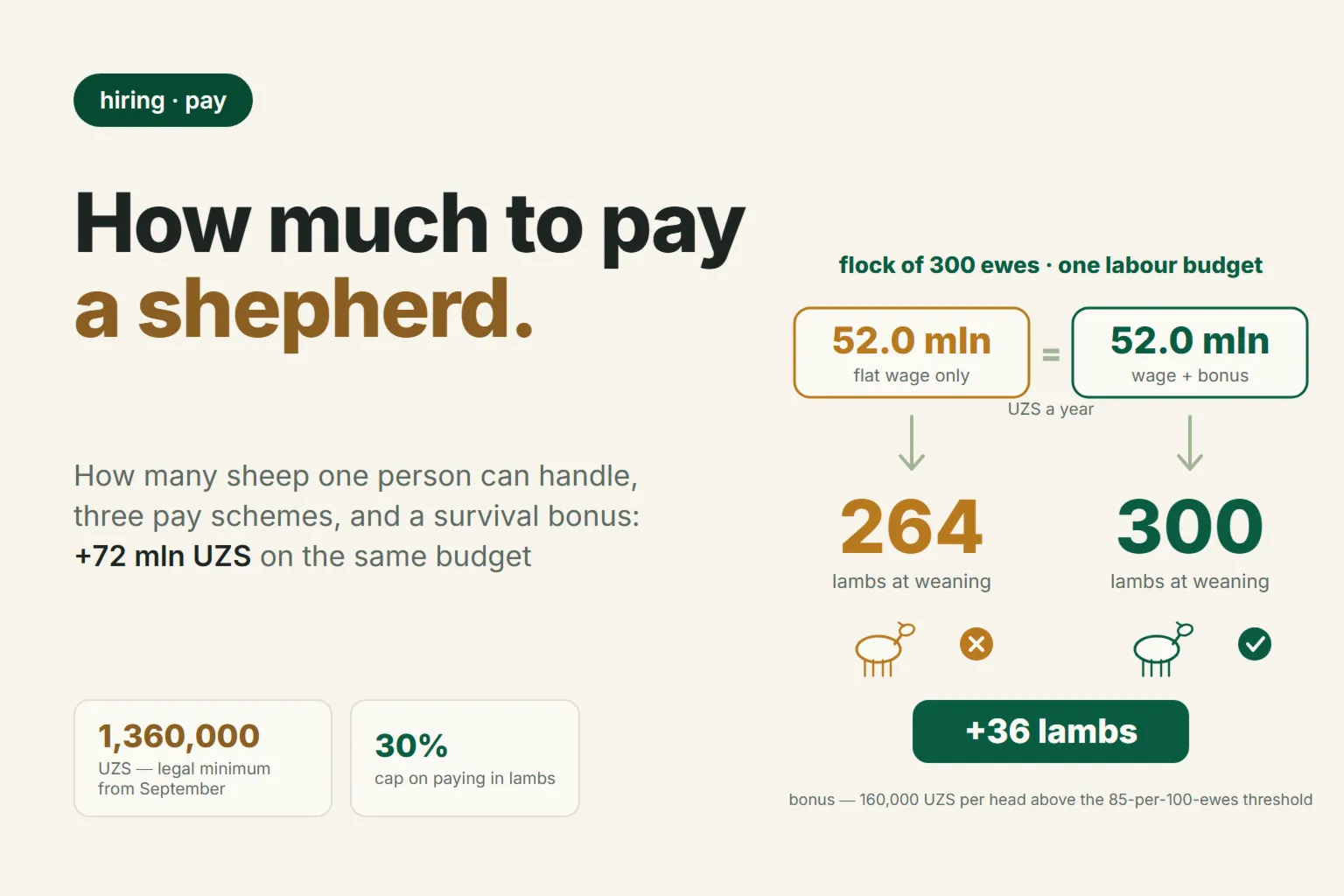 How Much to Pay a Shepherd in 2026: Workload Per Person, Pay Schemes, and a Survival Bonus