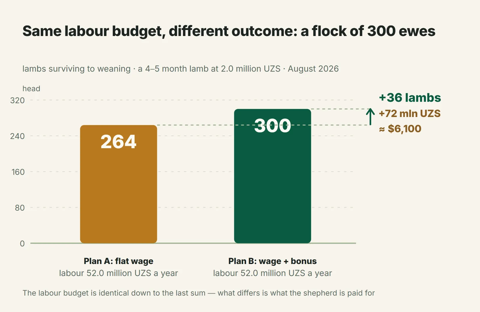 One labour budget, different results: 264 vs. 300 lambs at weaning