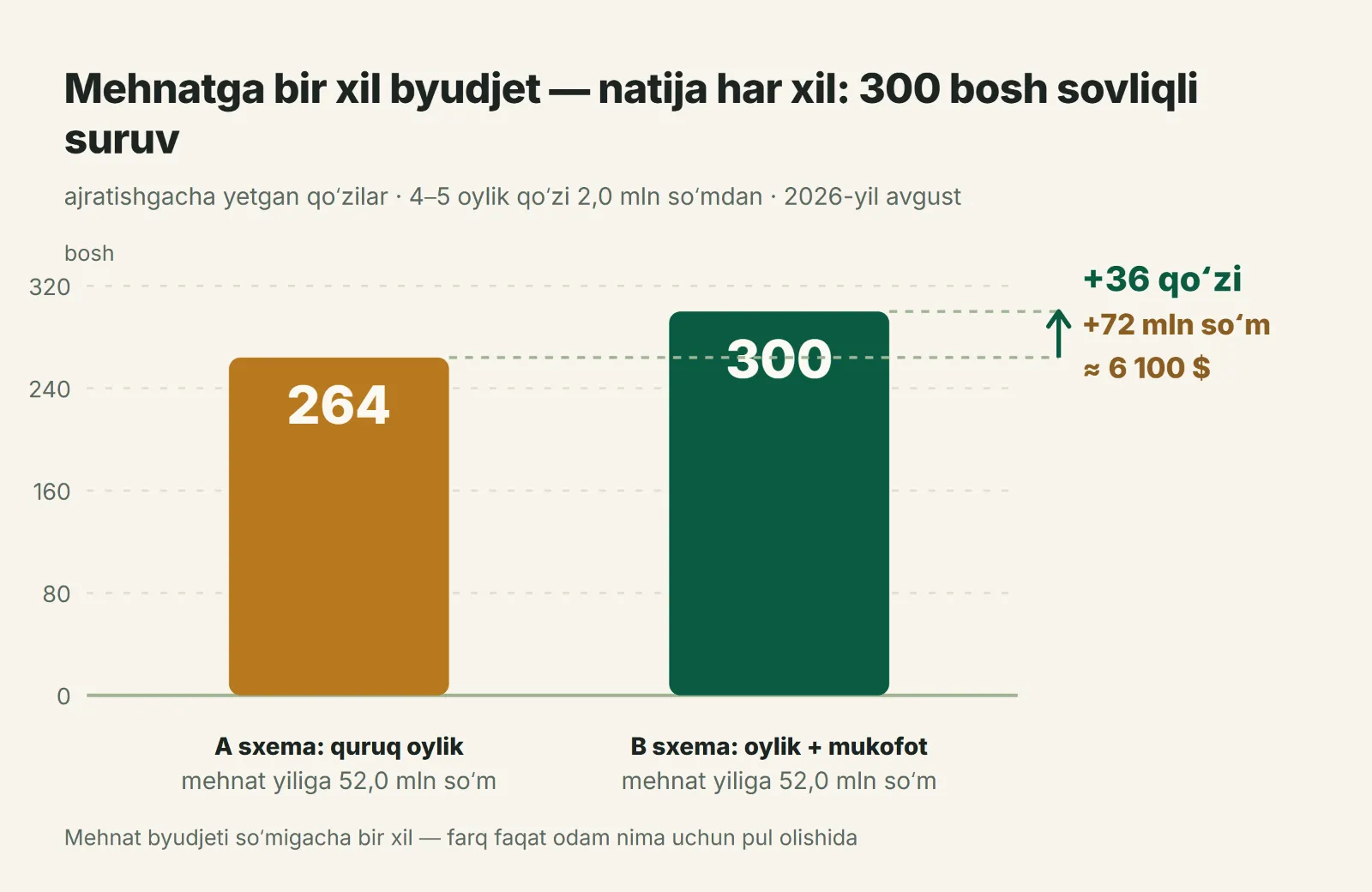 Mehnatga bitta byudjet — turli natija: ajratishga 264 va 300 qoʻzi