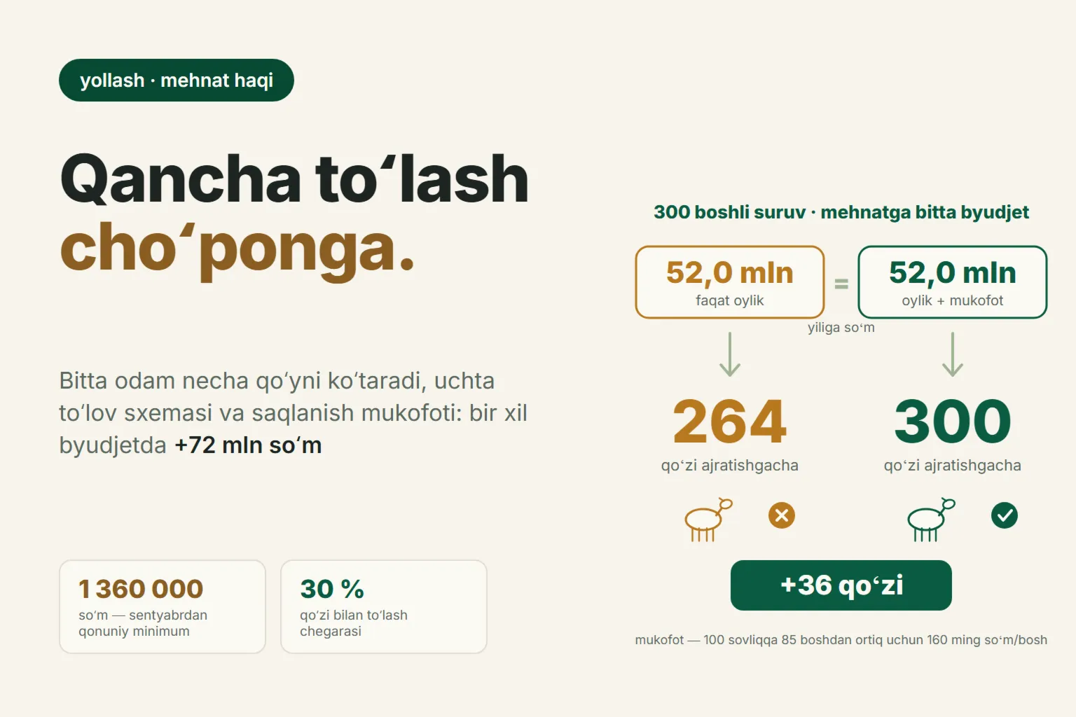 Choʻponga qancha toʻlash kerak 2026-yilda: bir kishiga yuk, toʻlov sxemalari va saqlanish uchun mukofot