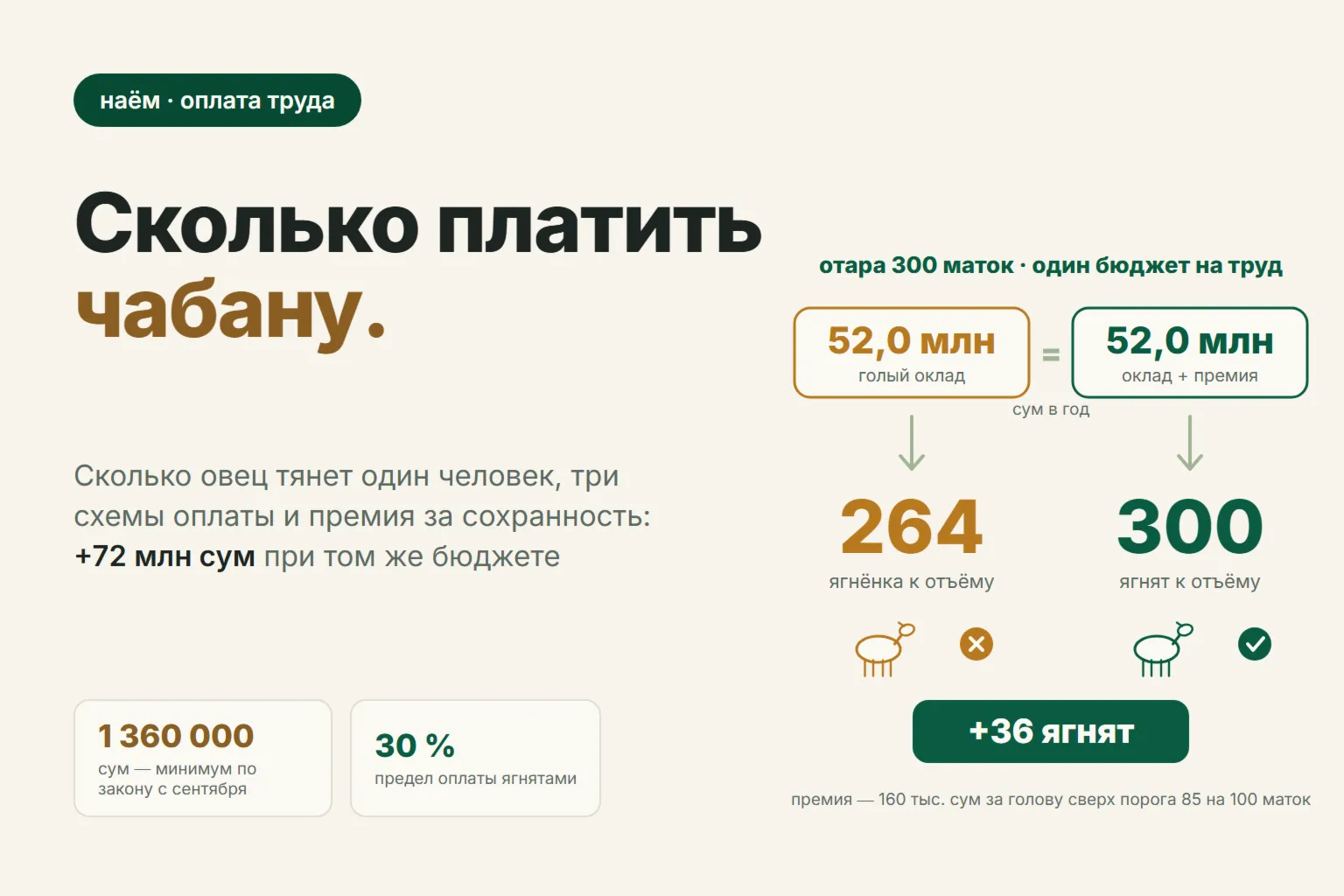 Сколько платить чабану в 2026 году: нагрузка на человека, схемы оплаты и премия за сохранность