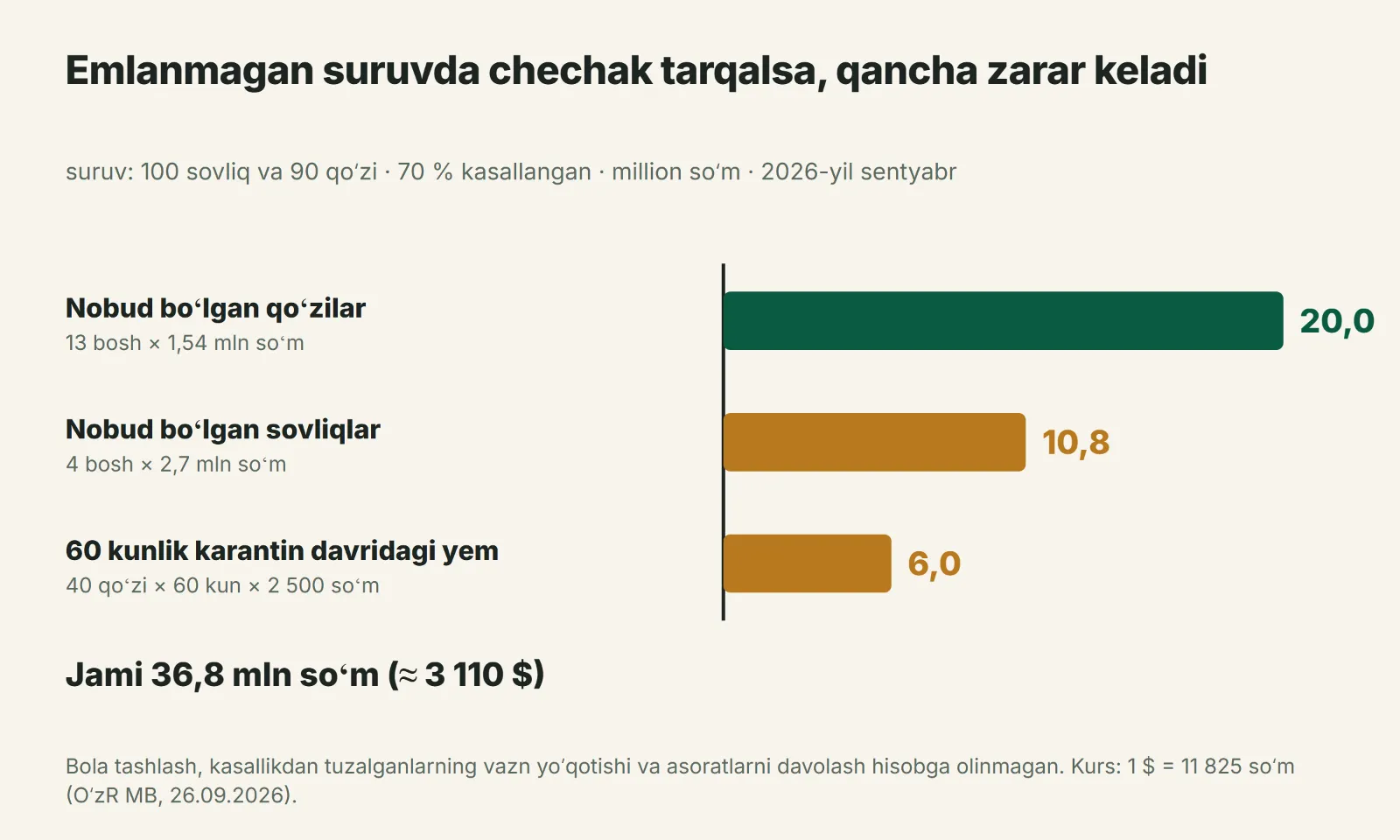 Qoʻy chechagi avj olganda 100 boshli sovliq suruvi yoʻqotishi