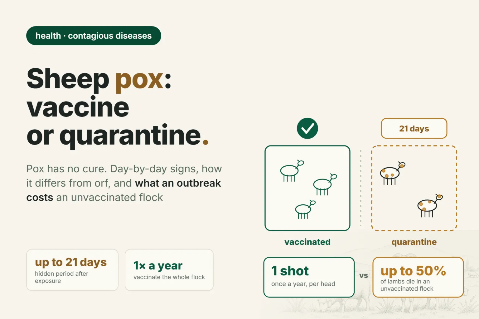Sheep Pox: Day-by-Day Signs, Vaccination, and What an Outbreak Costs an Unvaccinated Flock
