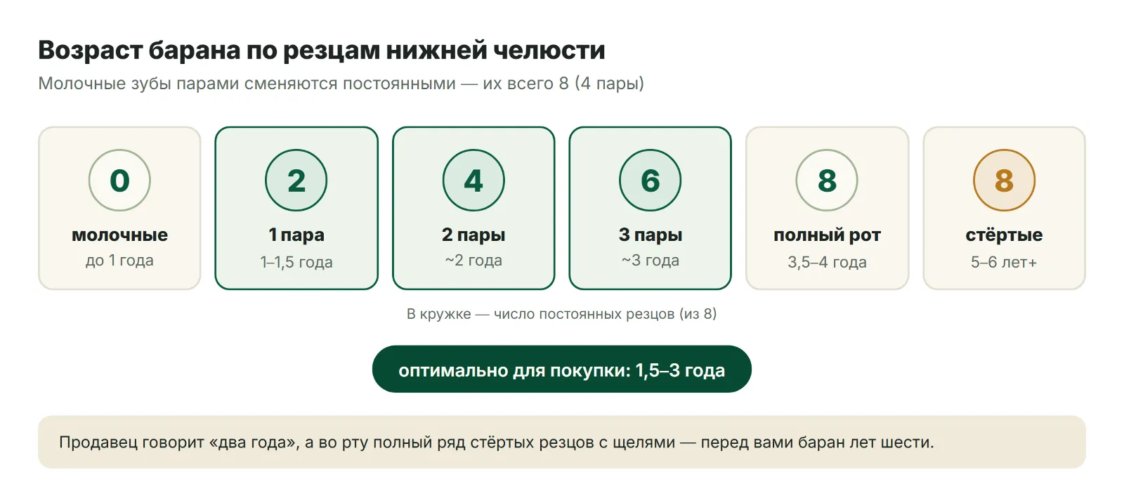 Возраст барана по резцам нижней челюсти
