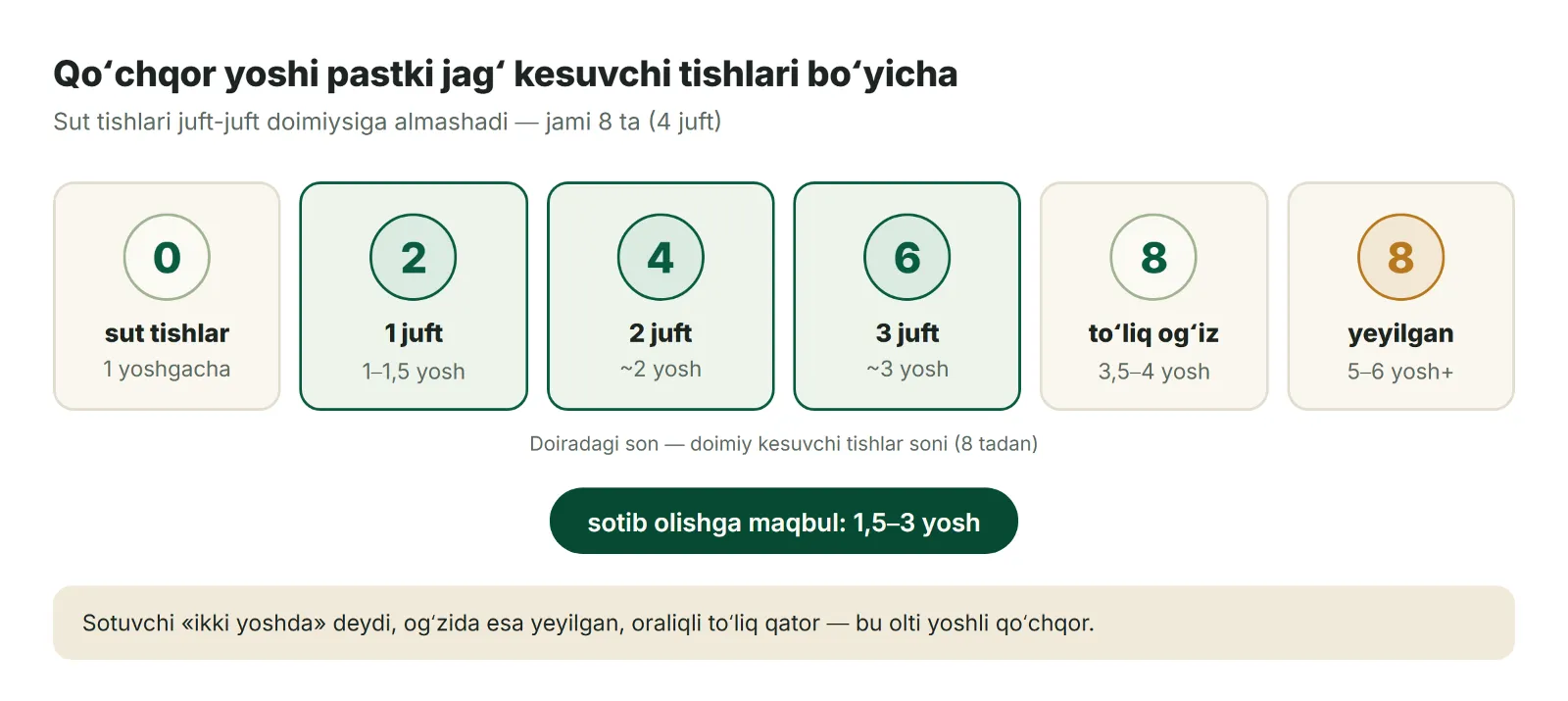Qoʻchqor yoshi pastki jagʻ kesuvchi tishlari boʻyicha