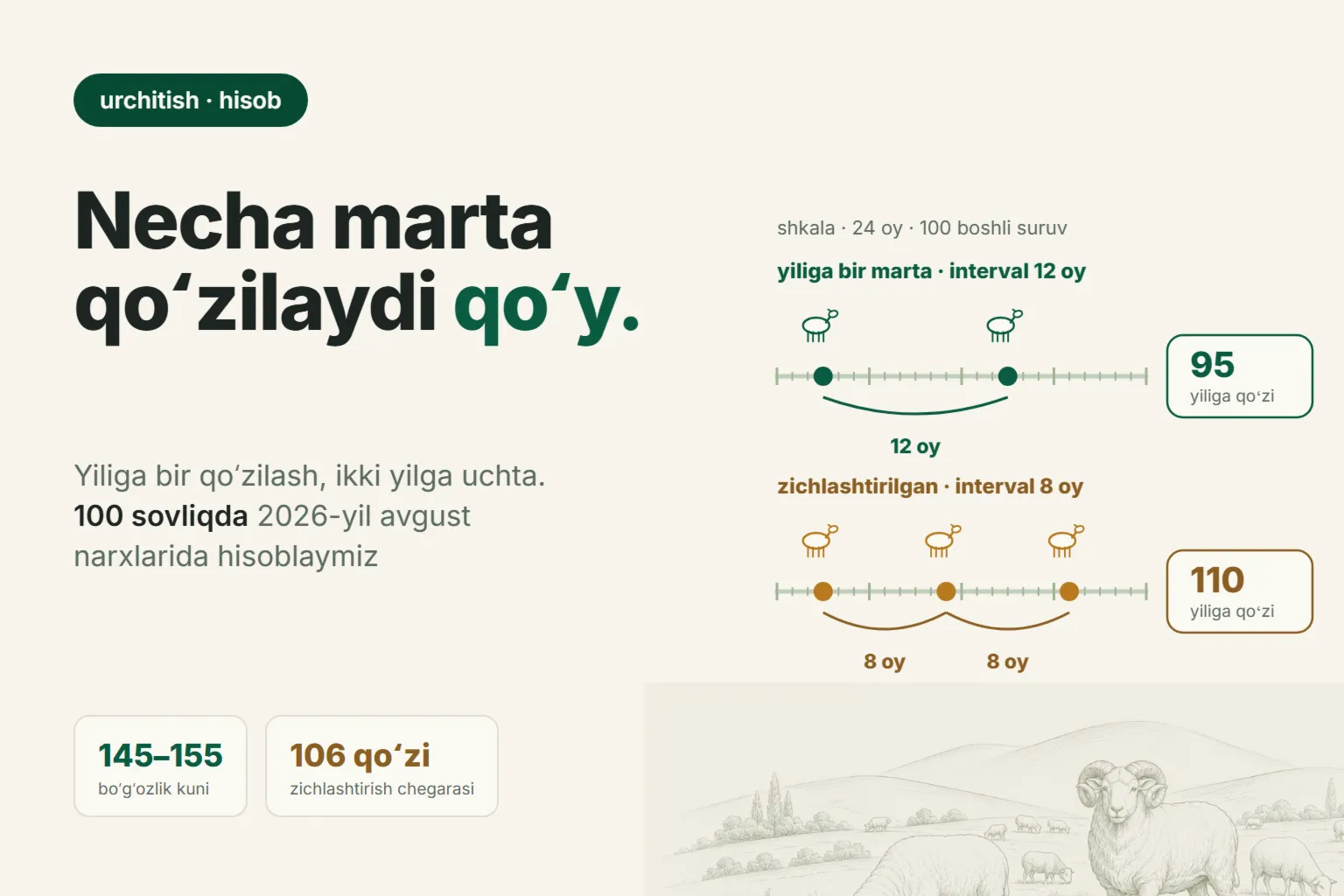 Qoʻy yiliga necha marta qoʻzilaydi: bitta qoʻzilash yoki zichlashtirilgan sxema