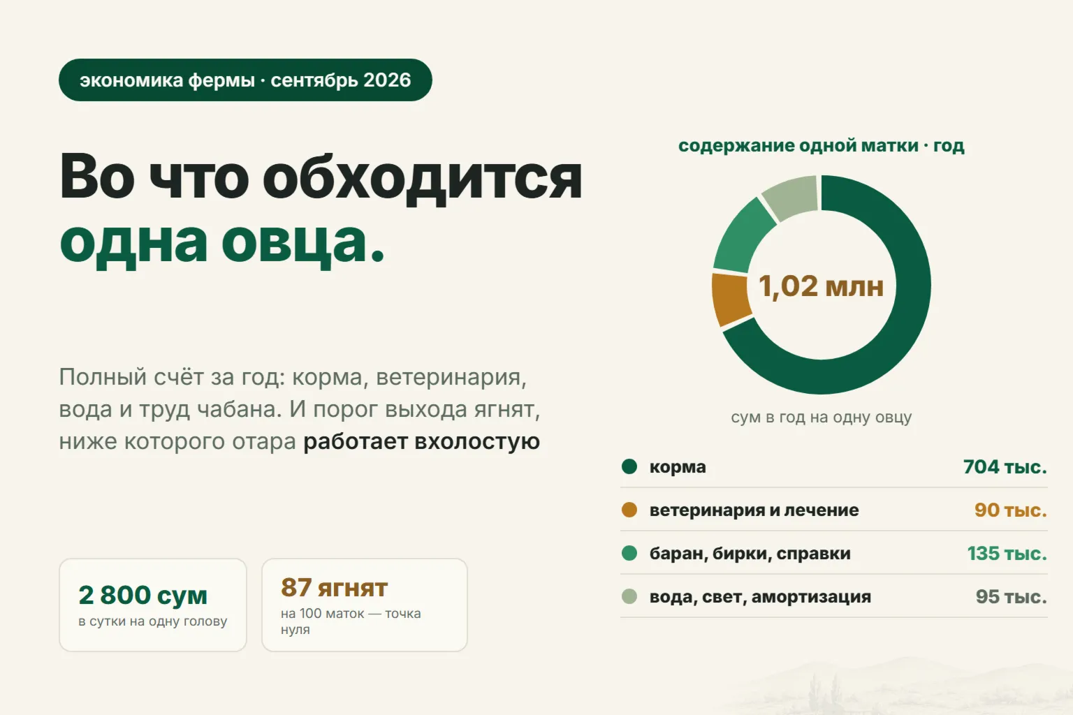 Сколько стоит содержать овцу в год в Узбекистане: полный расчёт затрат