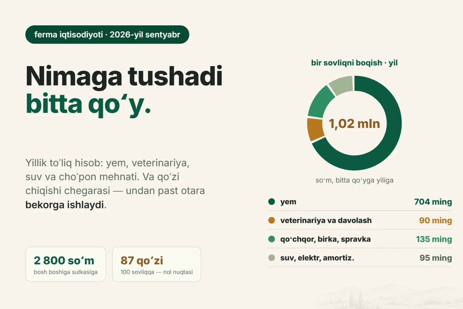 Oʻzbekistonda qoʻyni yiliga boqish qancha turadi: xarajatlarning toʻliq hisobi