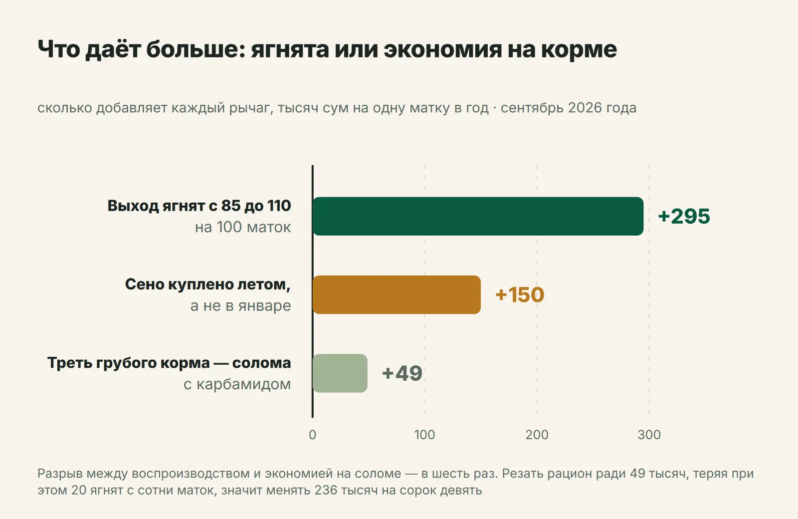 Что даёт больше: ягнята или экономия на корме