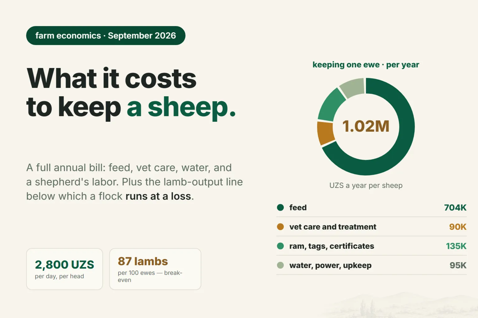How Much Does It Cost to Keep a Sheep for a Year in Uzbekistan: The Full Cost Breakdown