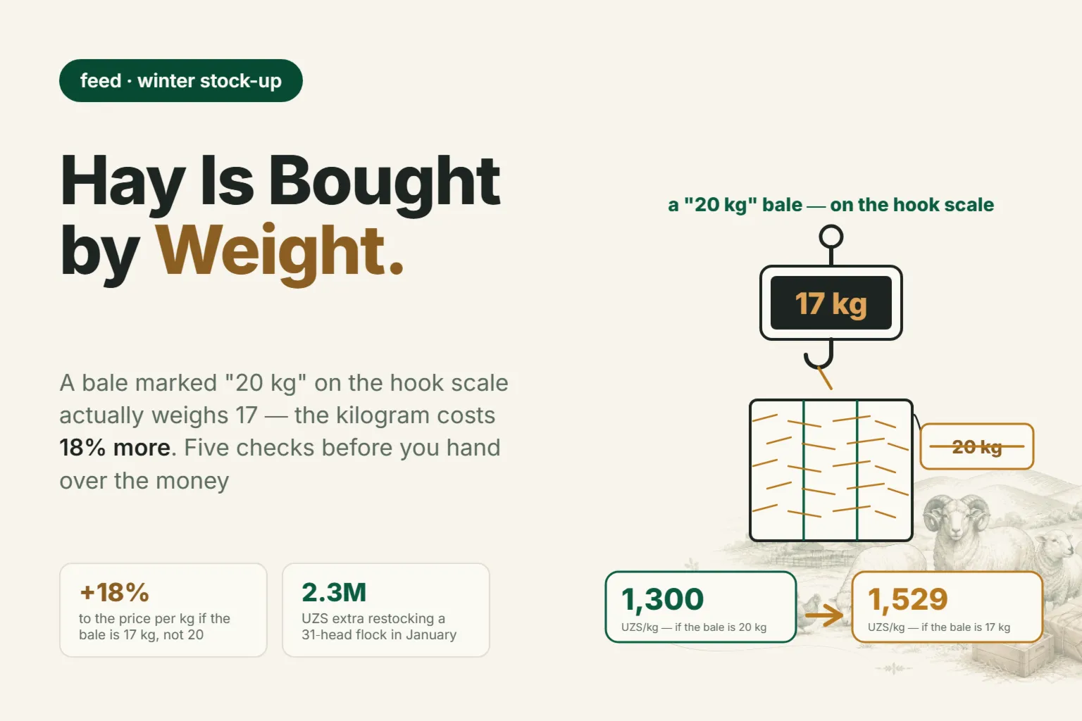 How to Choose Hay for Sheep: Bale Weight, Cutting Stage, and the Cost of Bad Alfalfa