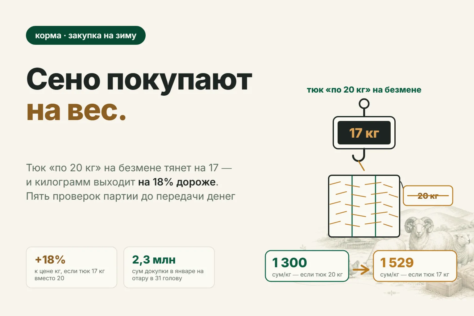 Как выбрать сено для овец при покупке: вес тюка, фаза укоса и цена плохой люцерны