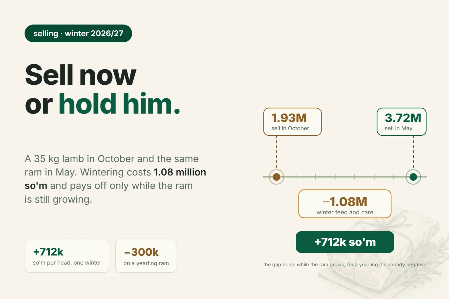 Sell your ram in autumn or hold him until spring: the 2026/27 wintering calculation
