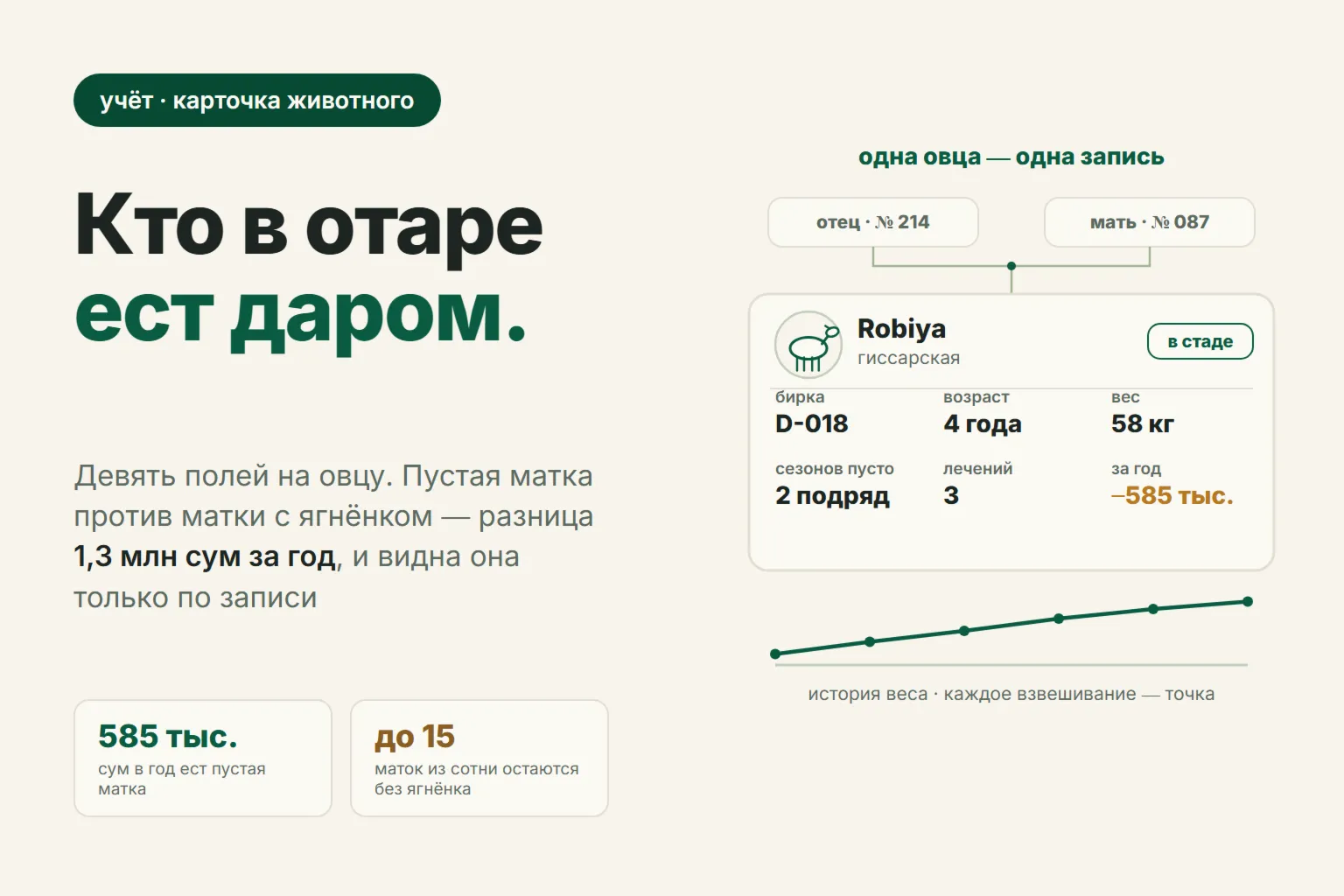 Карточка животного: что записывать по каждой овце и как найти в отаре убыточных маток