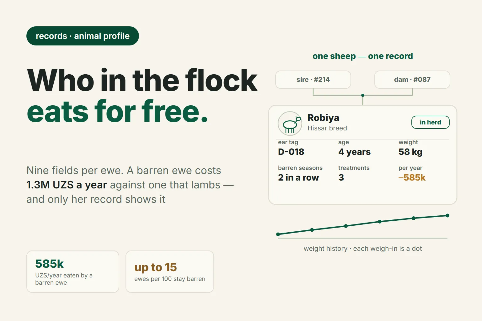 Animal Card: What to Record for Every Ewe, and How to Find the Unprofitable Ones in Your Flock