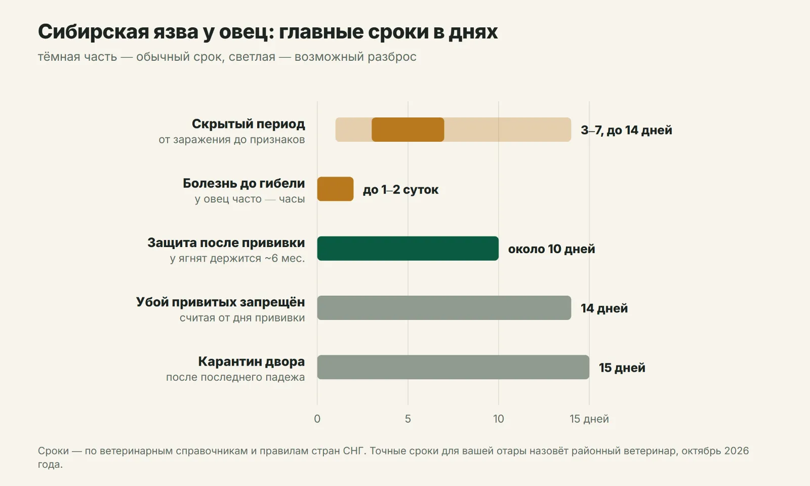 Сроки при сибирской язве у овец: от заражения до снятия карантина