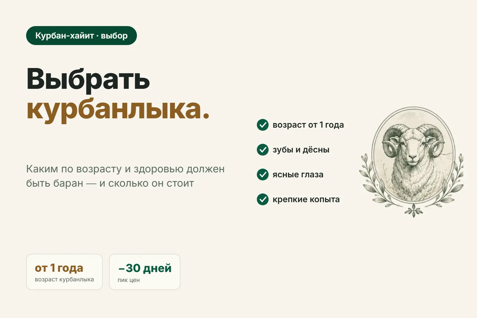 Баран на Курбан-хайит: как выбрать здоровое животное и сколько стоит