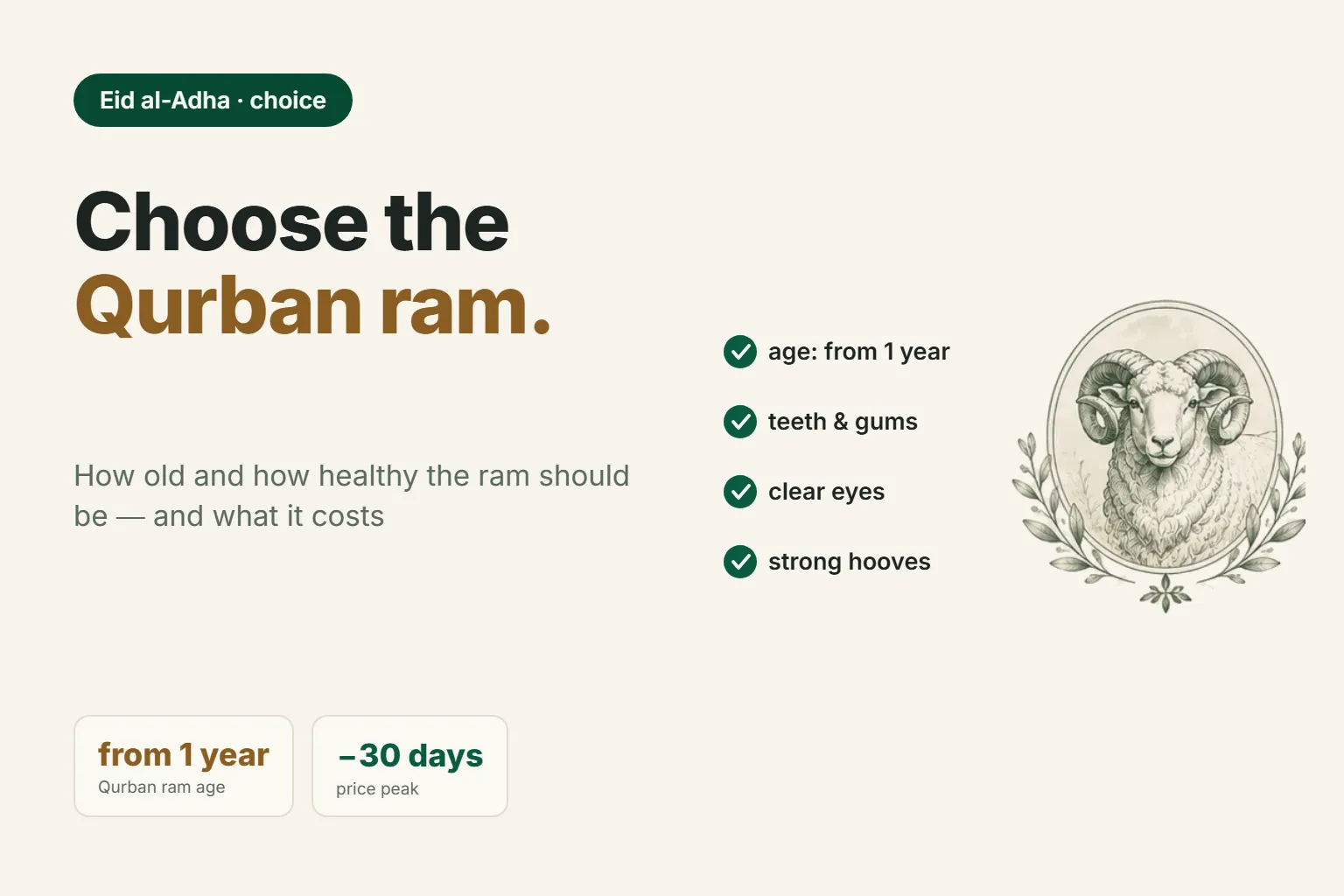 Ram for Qurbon Hayit: how to choose a healthy animal and what it costs
