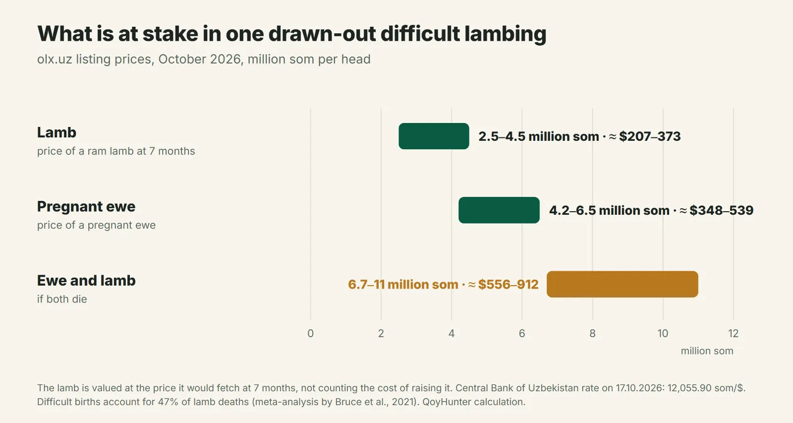 What a difficult lambing without help costs
