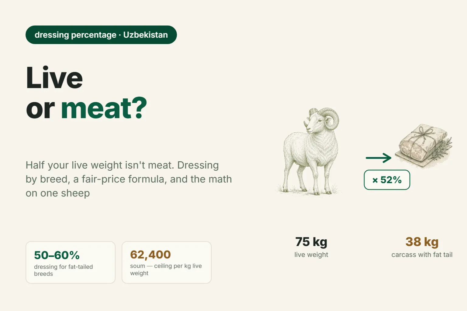 Dressing Percentage in Sheep: How Much Meat You Get From Live Weight, and Whether It Pays to Sell Live or as Carcass