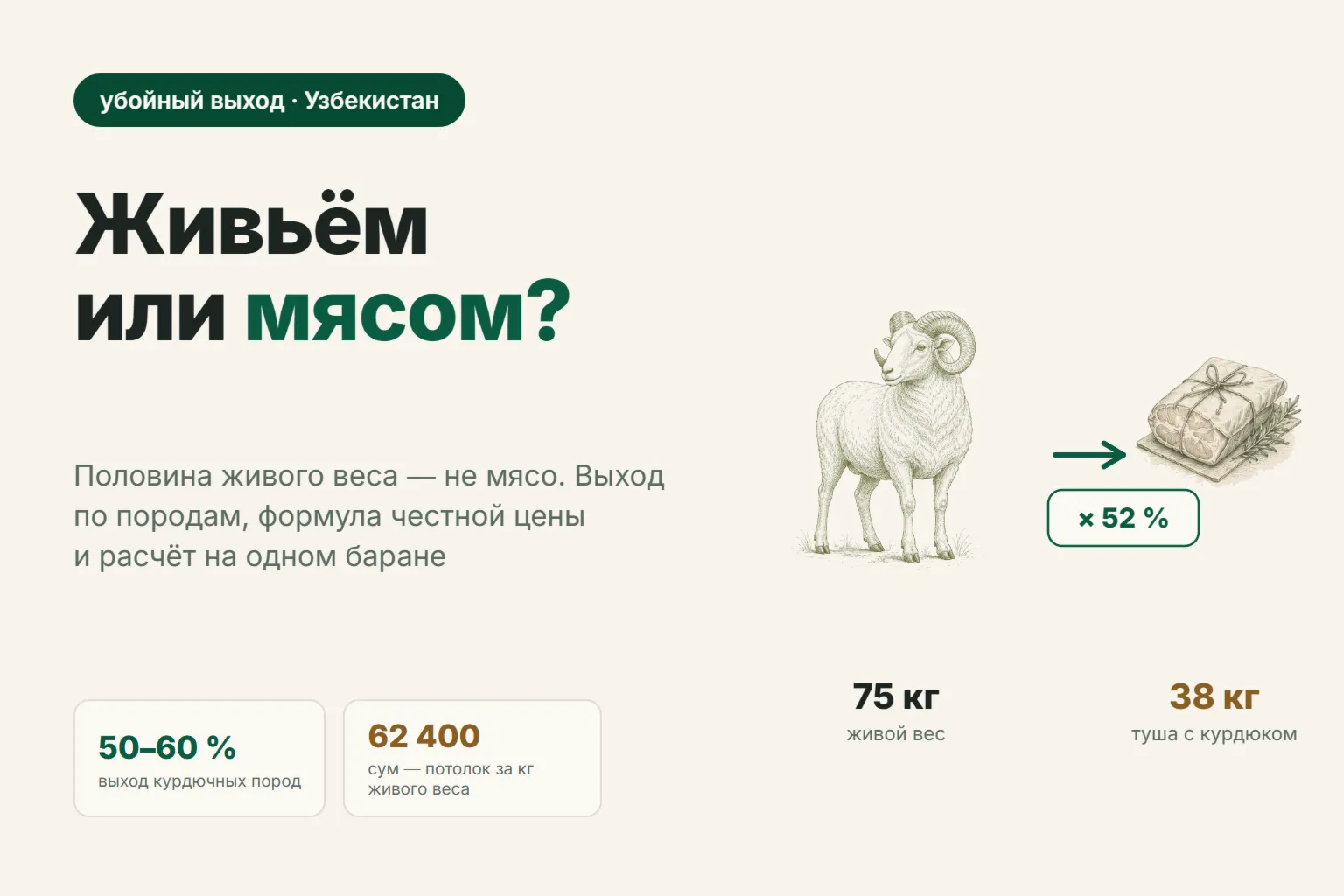 Убойный выход барана: сколько мяса выходит с живого веса и что выгоднее — продать живьём или тушей