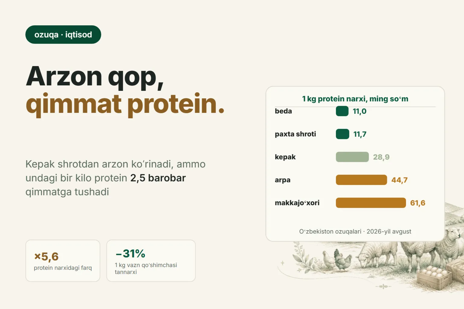 Qoʻchqorga qimmat yemni nima bilan almashtirish mumkin: shrot, kepak va arpada protein narxi