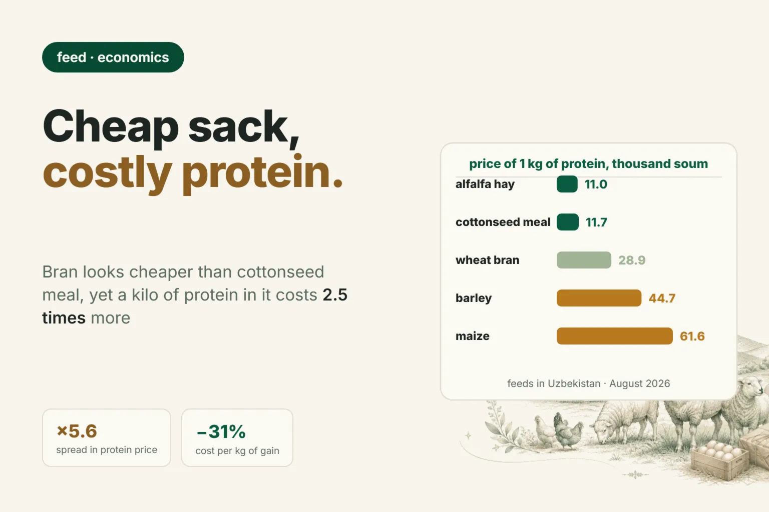 What to Replace Expensive Ram Feed With: Cost per Kilogram of Protein in Meal, Bran and Barley