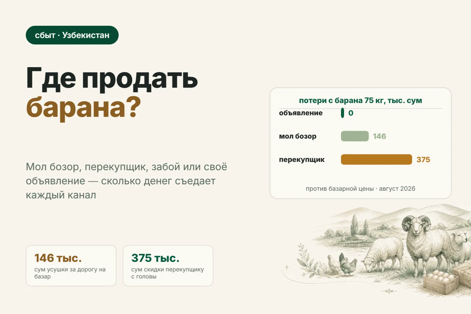 Где продать барана в Узбекистане в 2026 году: мол бозор, перекупщик или объявление
