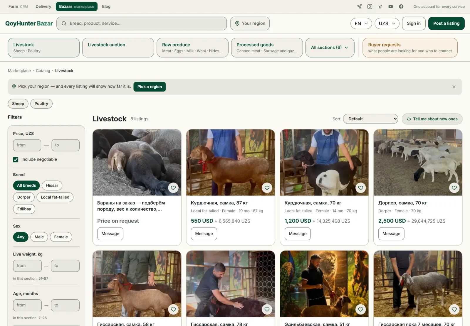 QoyHunter Bazar marketplace: listings for rams and sheep for sale — breed, weight, age, and price visible at a glance